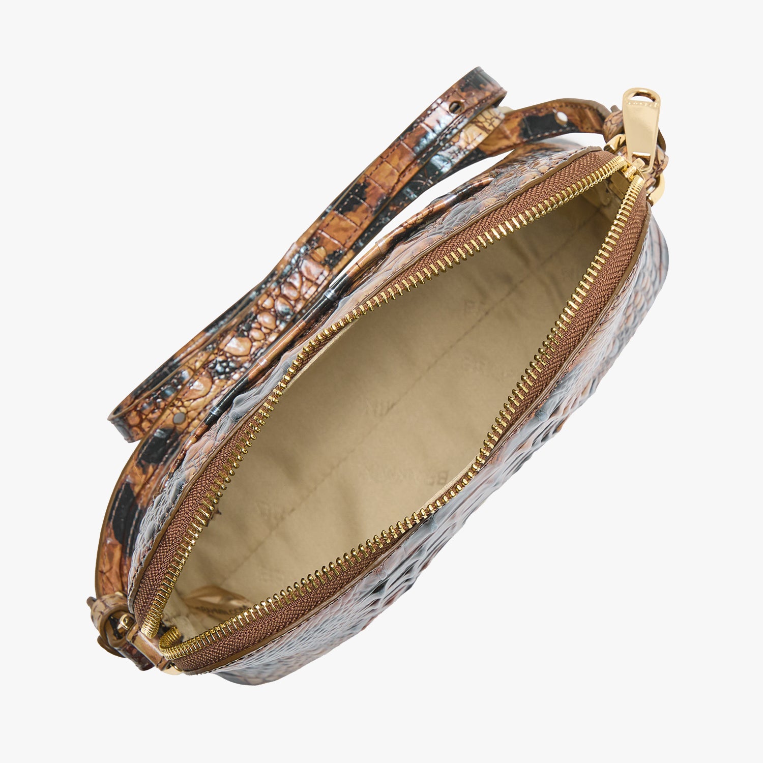 Amal | Golden Lynx Melbourne | BRAHMIN