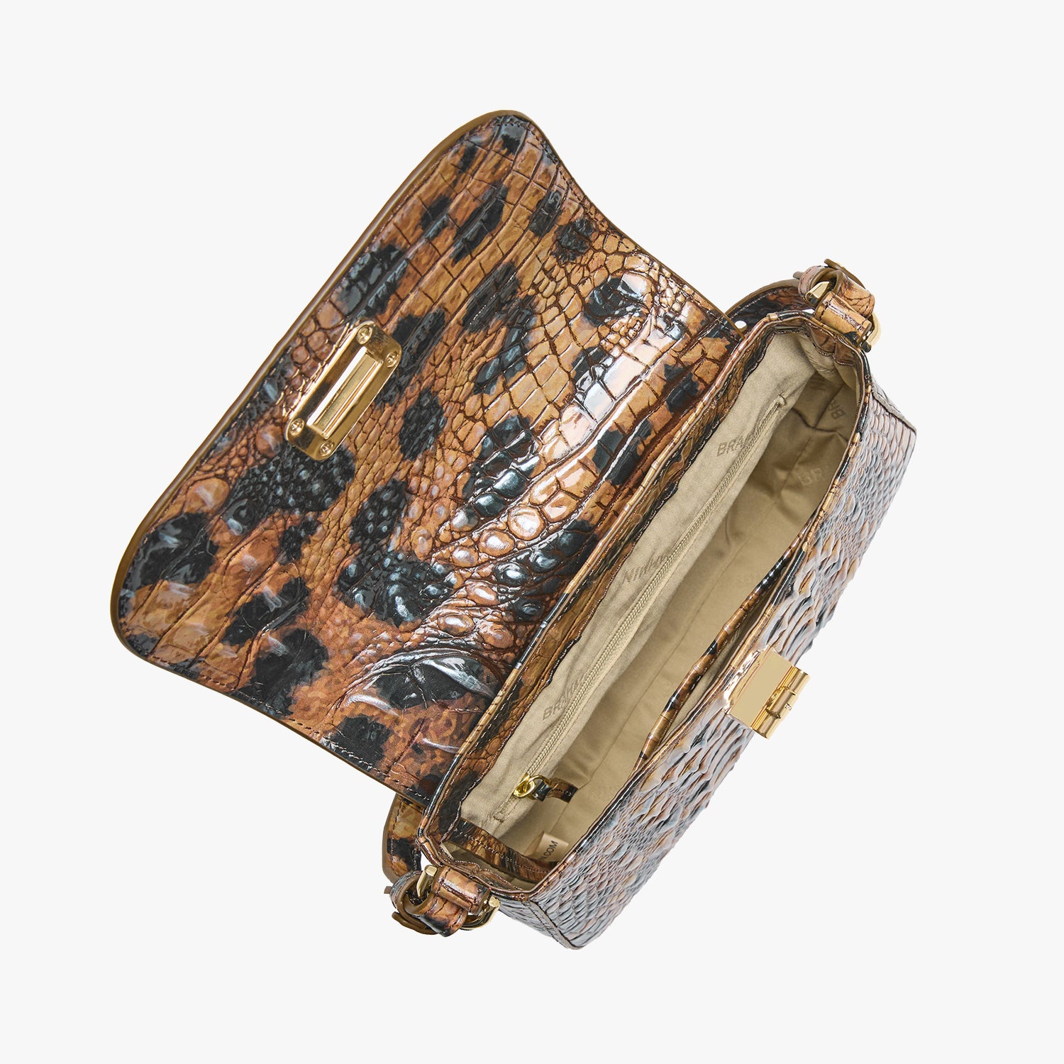 Gianna | Golden Lynx Melbourne | BRAHMIN