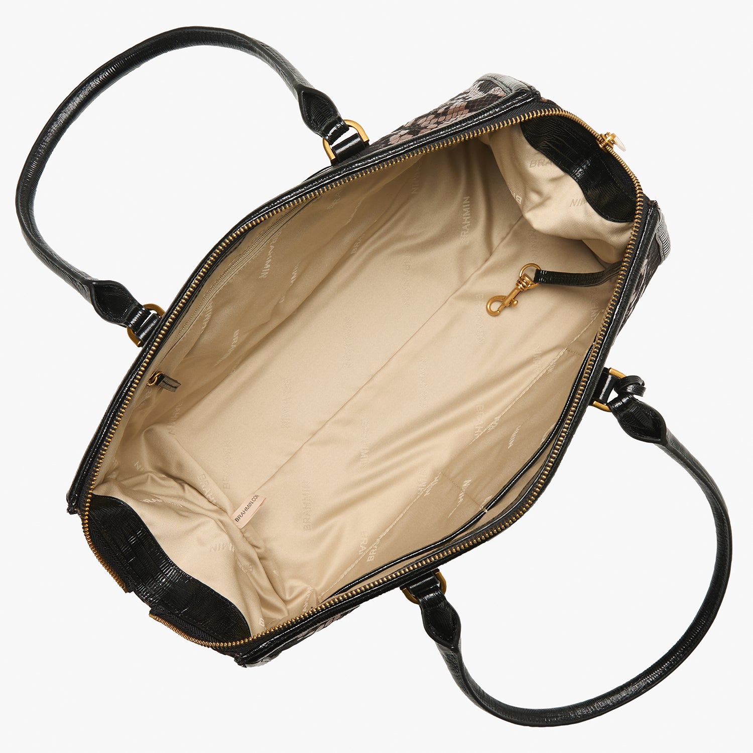 アフリカ便！インパラ スカルホーン B アフリカ便！インパラ スカルホーン B