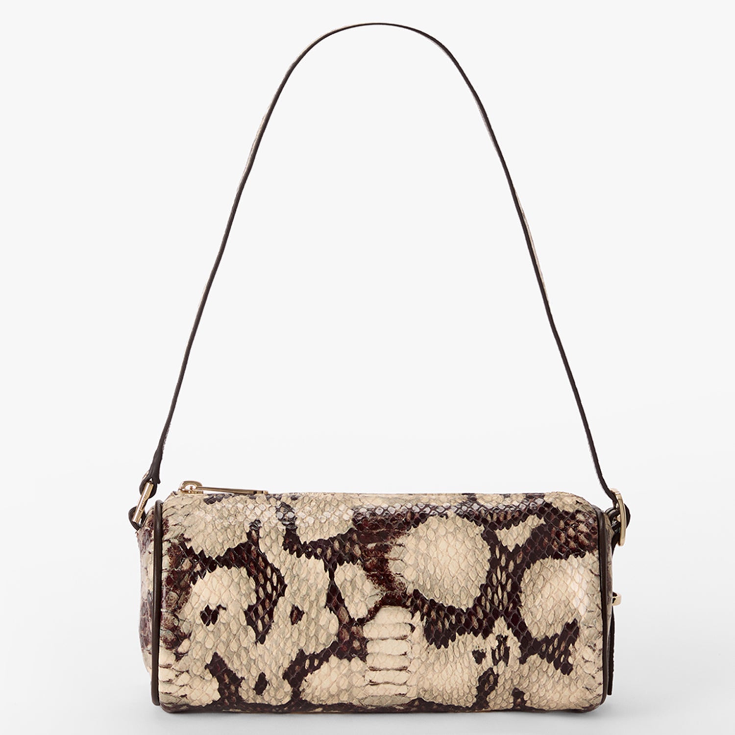 Billie | Feline Mythos | BRAHMIN