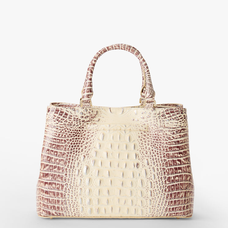 Ginger Ombre Melbourne Small Denise Satchel Back View