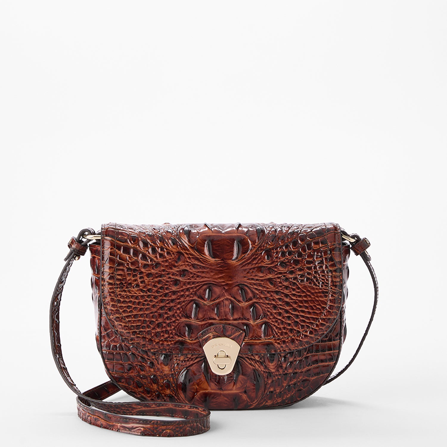 パキポディウム　アリドランズ パキポディウム アリドランズ - メルカリ