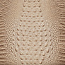 Sesame Ombre Melbourne swatch