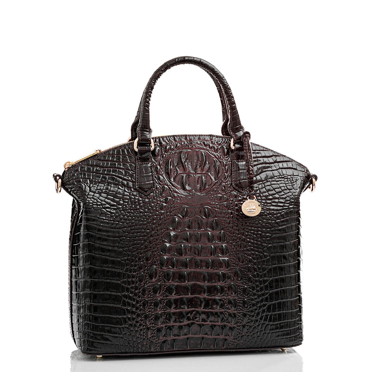 Brahmin dark brown embossed leather satchel with gold hardware, double top handles, zip closure, and a round gold charm accent. Silhouette displayed on white background; texture and structured shape visible.
