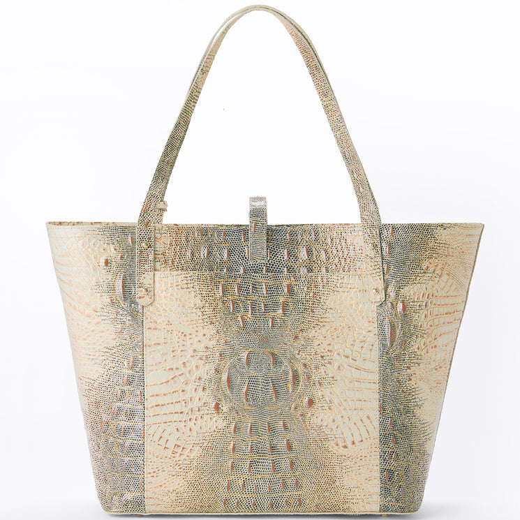 Ivory Iguana Ombre All Over All Day Tote Back View 