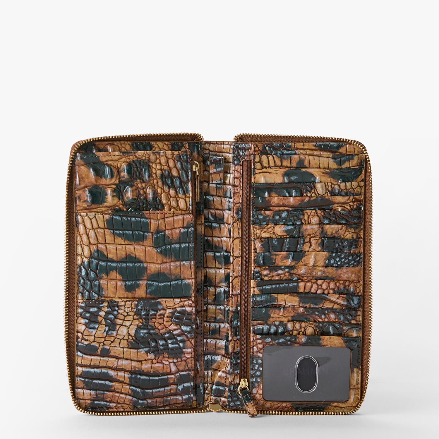 Skyler | Golden Lynx Melbourne | BRAHMIN