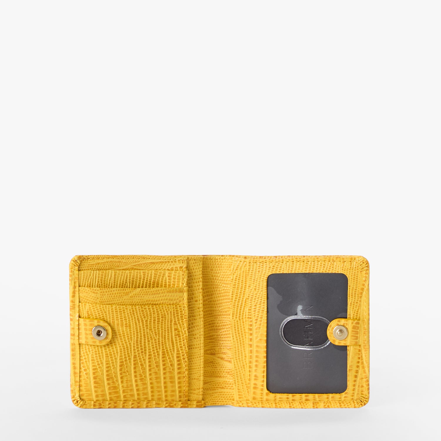 Jane | Vivid Yellow Sunshadow | BRAHMIN