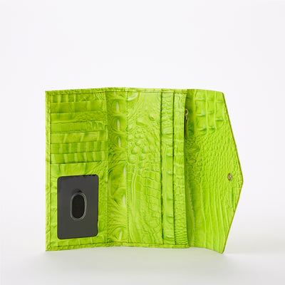 Limelight Ombre Melbourne Veronica Wallet Open Top View 
