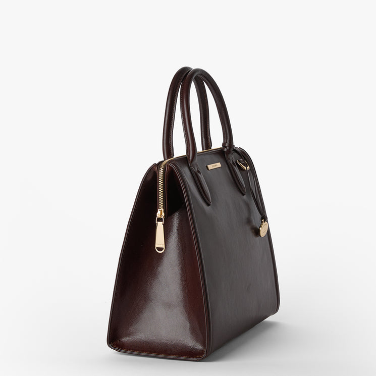 Brahmin dark brown structured handbag with gold zipper and hardware, two top handles, trapezoid silhouette, and textured finish, shown on a white background. Elegant design suitable for hand or arm carry.