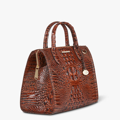 Caroline Pecan Brown Melbourne side bag image