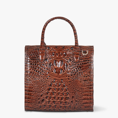 Caroline Pecan Brown Melbourne back bag image