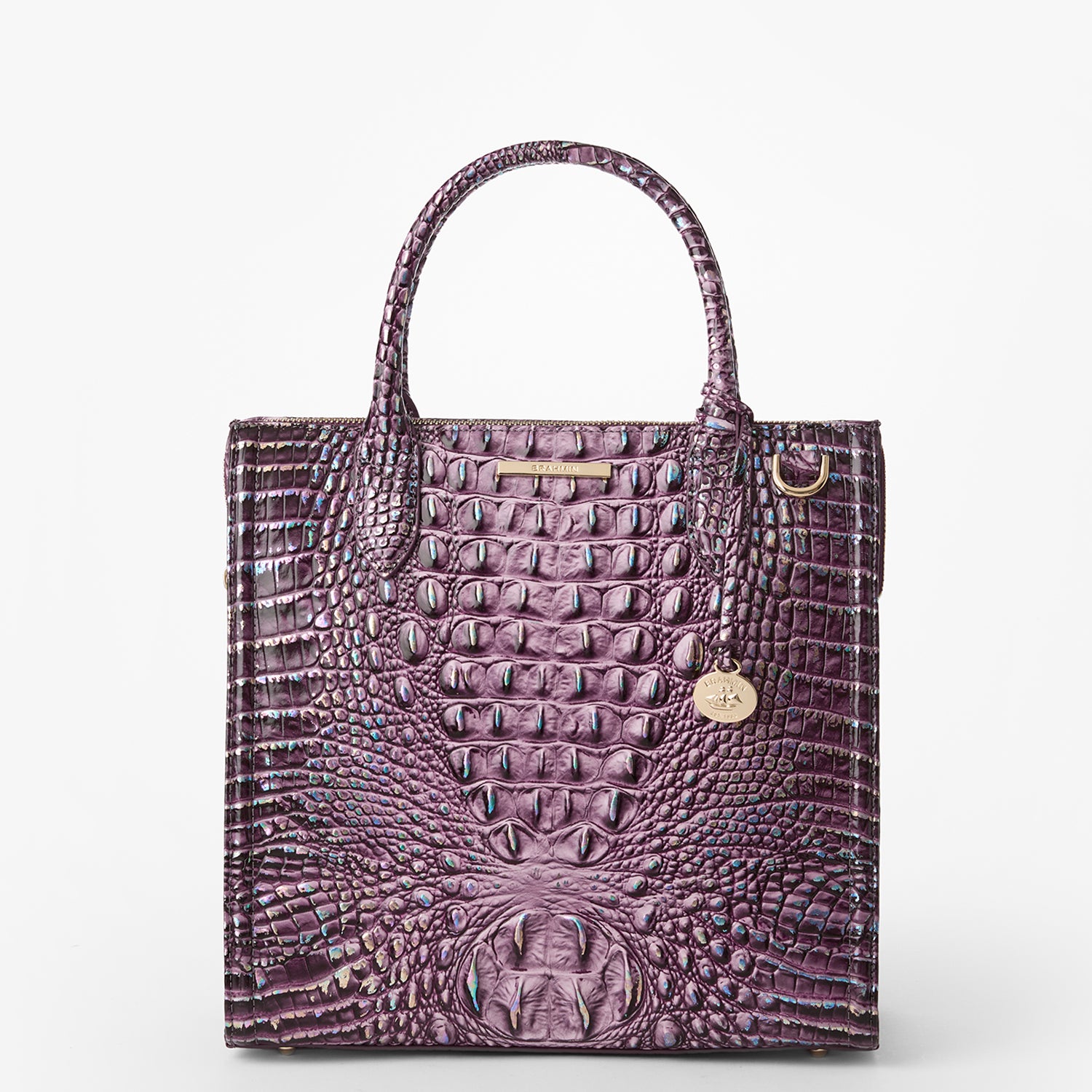 Brahmin 2024 Large Caroline