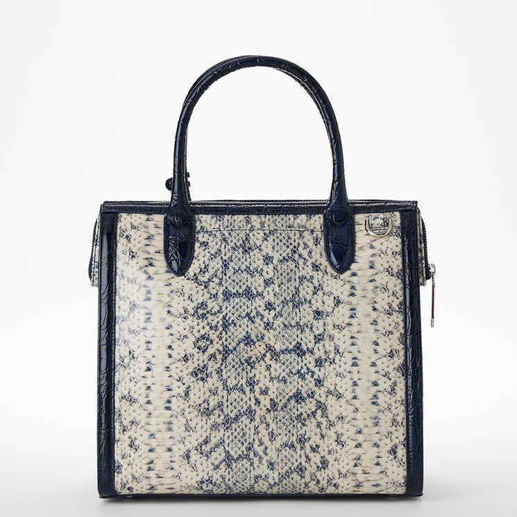 Anchor Cirrus Caroline Satchel Back View
