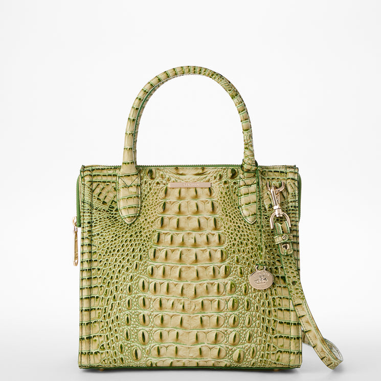 Fern Melbourne Small Caroline Satchel Front View With Strap