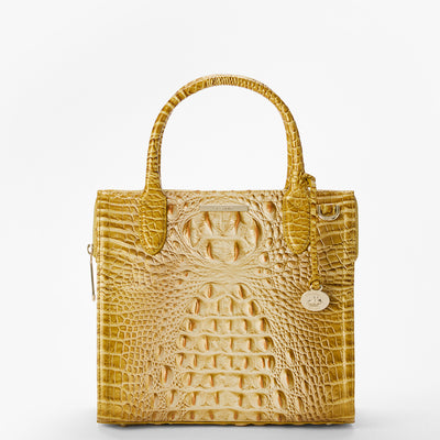 Golden Rod Ombre Melbourne Small Caroline Satchel Front View 