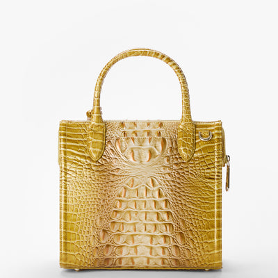 Golden Rod Ombre Melbourne Small Caroline Satchel Back View 