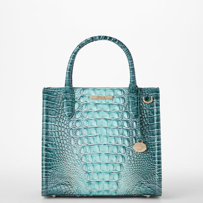 Spearmint Ombre Melbourne Small Caroline Satchel Front View