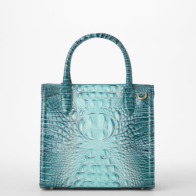 Spearmint Ombre Melbourne Small Caroline Satchel Back View