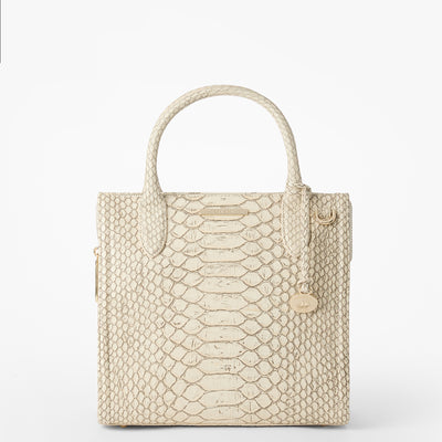 Oyster Grey All Over Snake Small Caroline Satchel Front View 