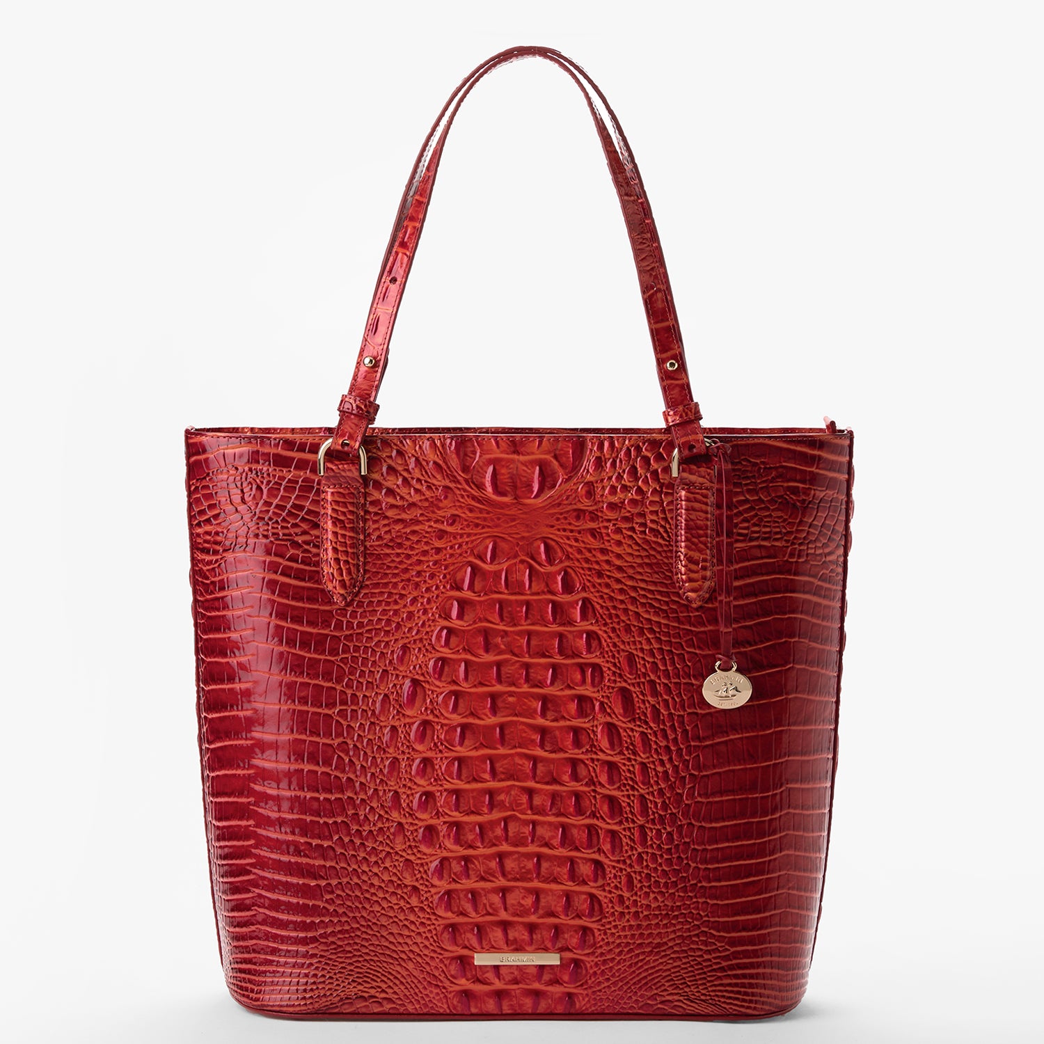 Brahmin all day tote sale