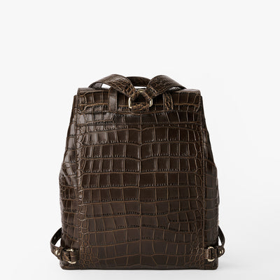 Chocolate Bremond Zane Backpack Back View 