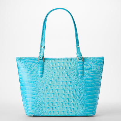 Tropic Blue Melbourne Medium Asher Tote Back View 