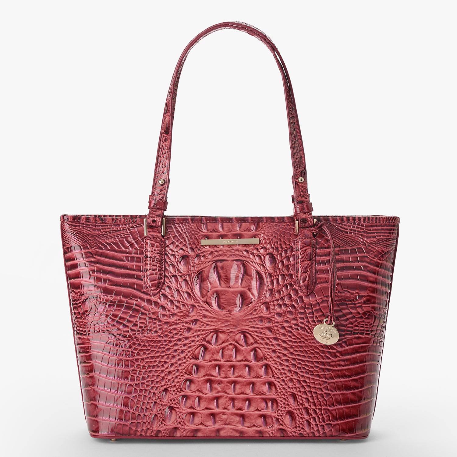 Medium Asher | Coquette Ombre Melbourne | BRAHMIN