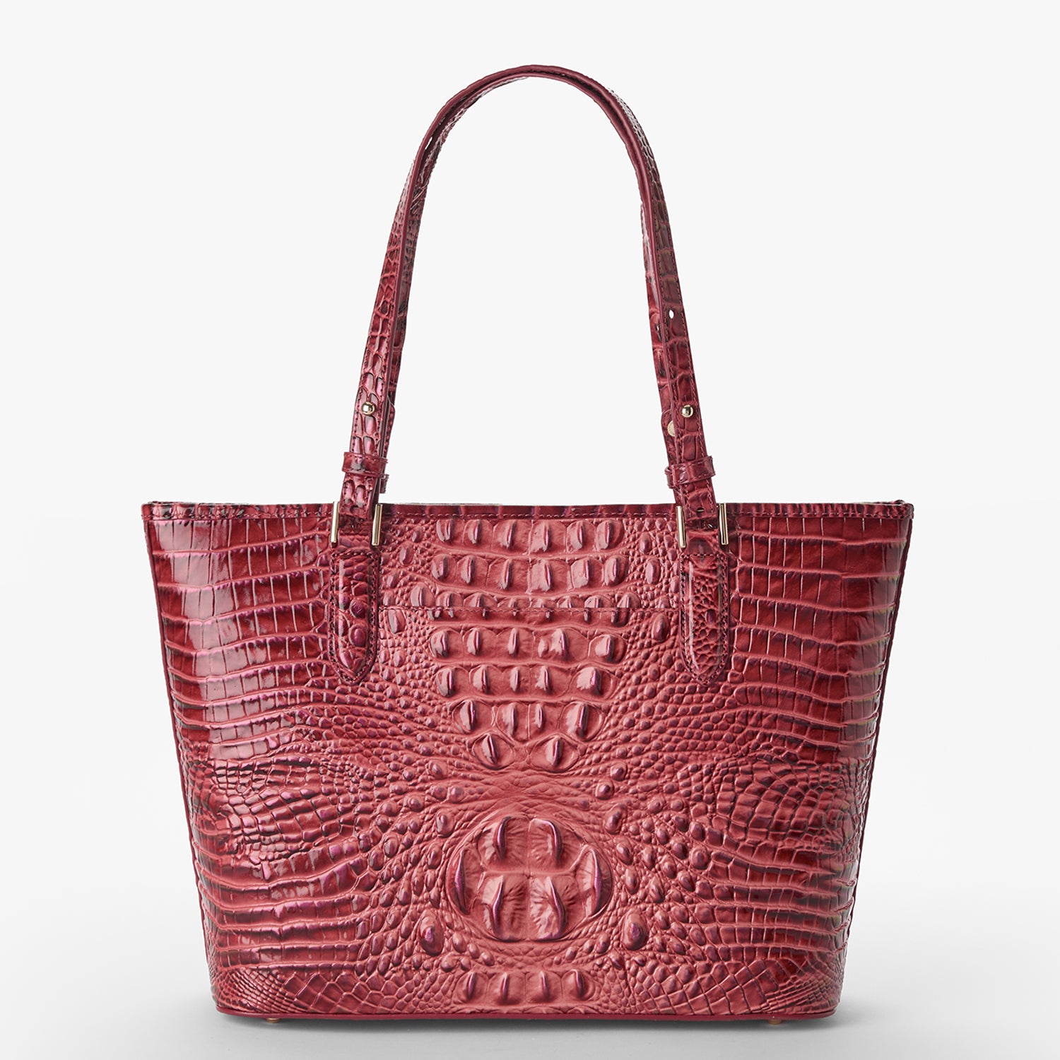 Medium Asher Coquette Ombre Melbourne BRAHMIN