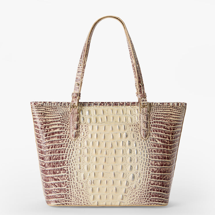 Ginger Ombre Melbourne Medium Asher Tote Back View