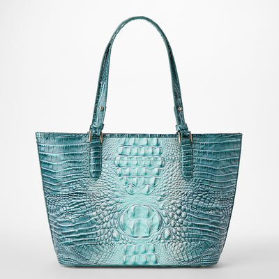 Spearmint Ombre Melbourne Medium Asher Tote Back View 