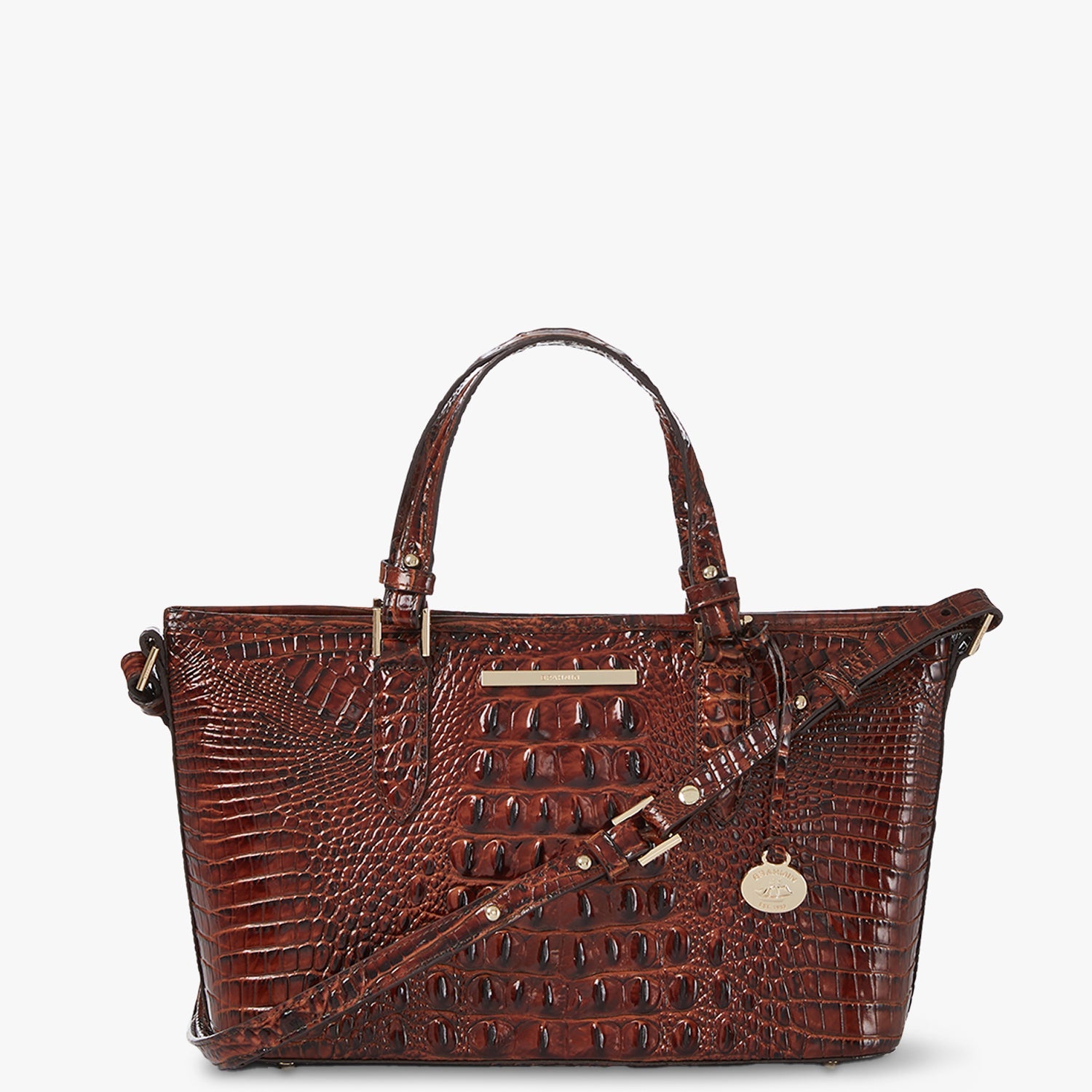 Asher Pecan Melbourne Mini Satchel BRAHMIN - Main Image