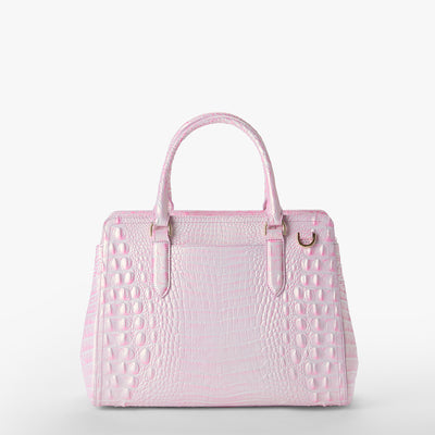 Rose Water Melbourne Small Finley Carryall Back View