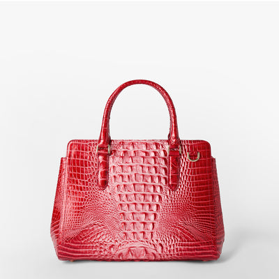 Embrace Ombre Melbourne Small Finley Satchel Back View 