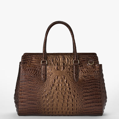 Ganache Ombre Melbourne Finley Carryall Back View 