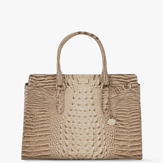 Sesame Ombre Melbourne Finley Carryall Satchel Front View 