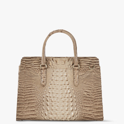 Sesame Ombre Melbourne Finley Carryall Satchel Back View 