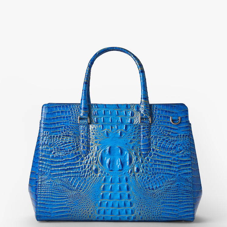 Electric Indigo Ombre Melbourne	Finley Carryall Back View