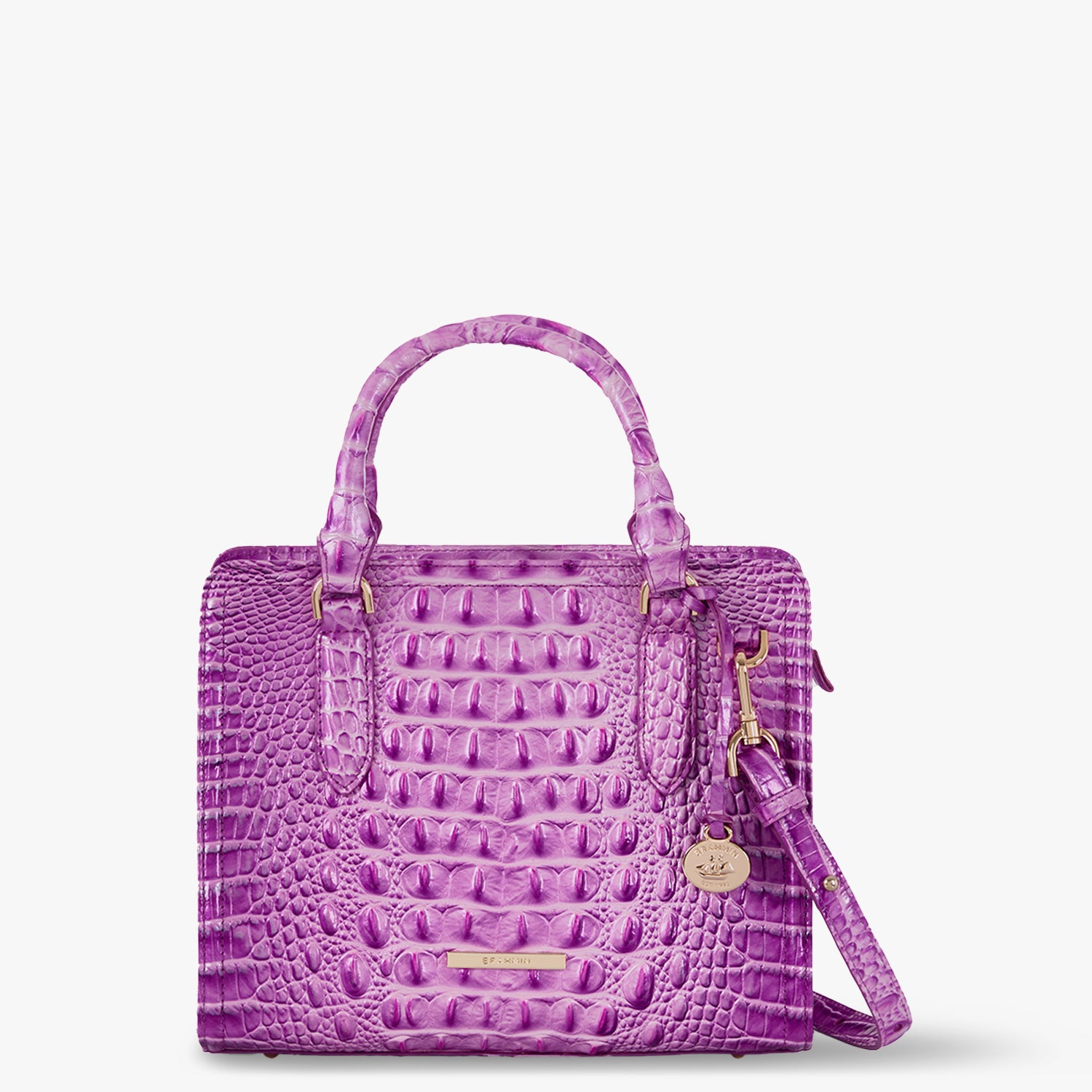 Brahmin discount Satchel