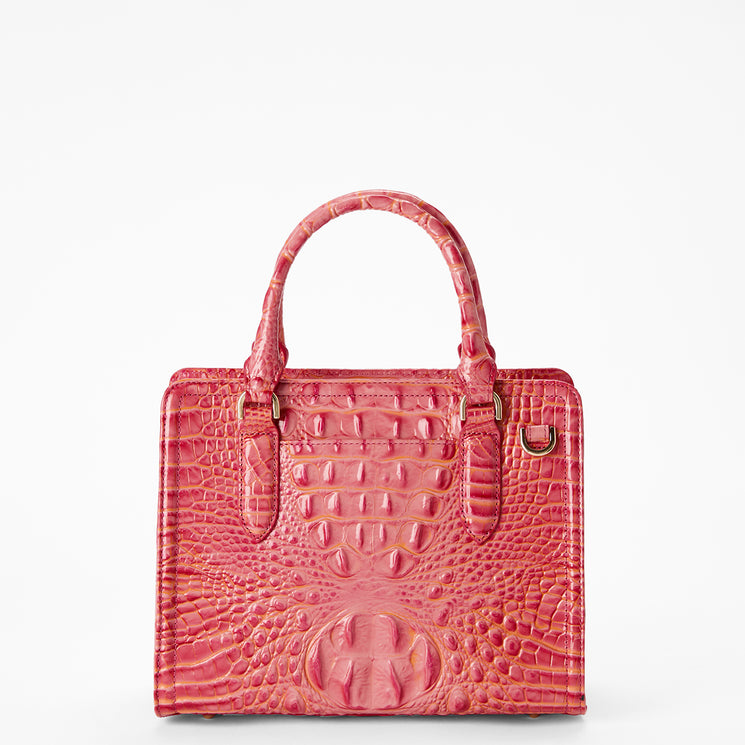 Coral Snapdragon Melbourne Cami Satchel Back View