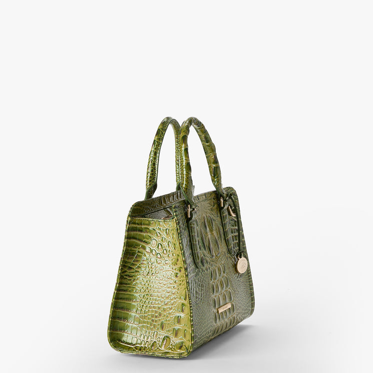 Olive Ombre Melbourne Cami Satchel Side View