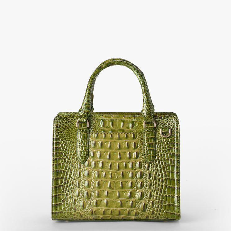 Olive Ombre Melbourne Cami Satchel Back View