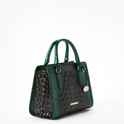 Evergreen Ombre Melbourne Cami Satchel Side View 
