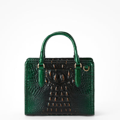 Evergreen Ombre Melbourne Cami Satchel Back View 
