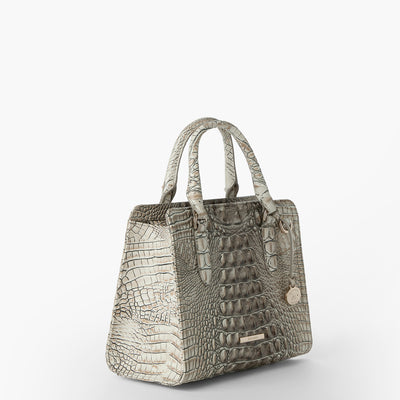 Timeless Taupe Ombre Melbourne Cami Satchel Side View 