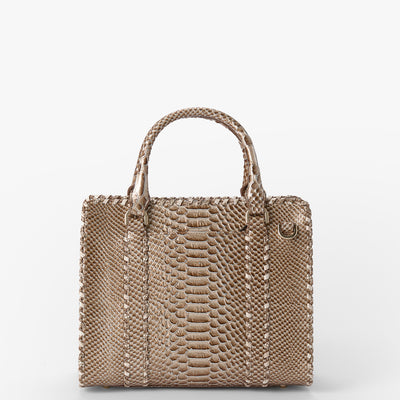 Timeless Taupe Gisela Cami Satchel Back View 