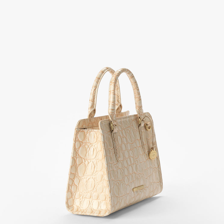 Contour Donovan	Cami  Satchel Side View