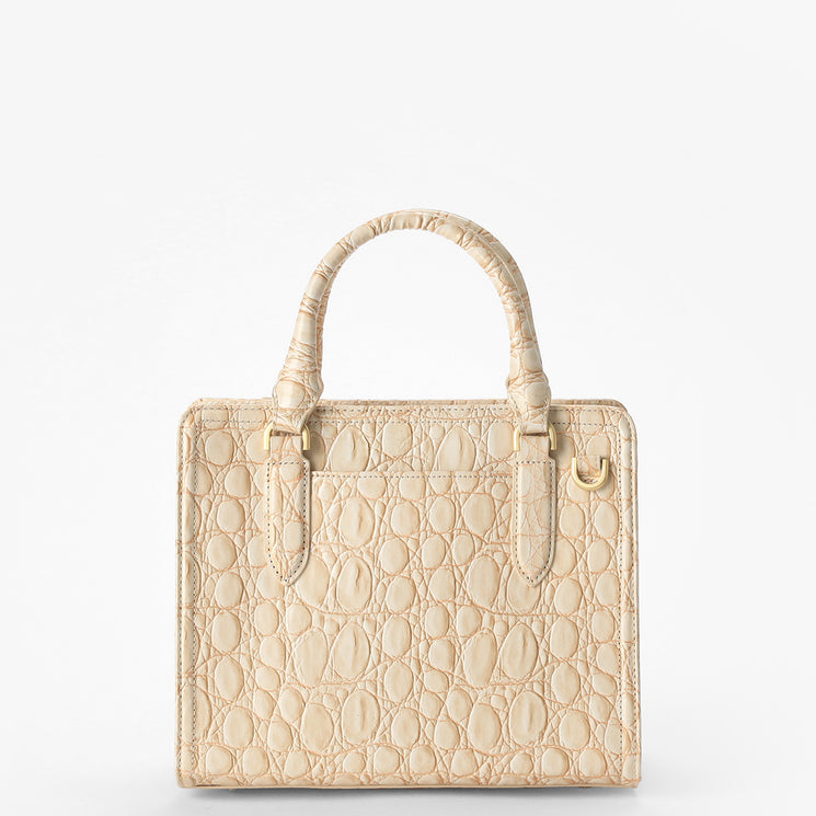 Contour Donovan	Cami  Satchel Back View