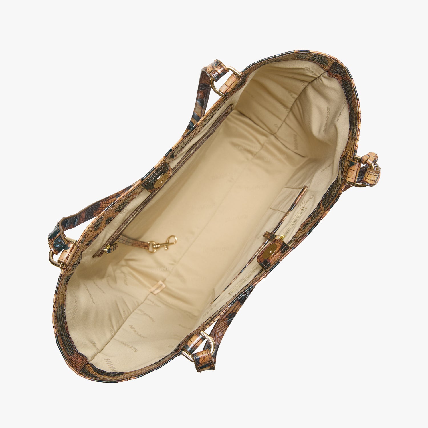 Aliza | Golden Lynx Melbourne | BRAHMIN