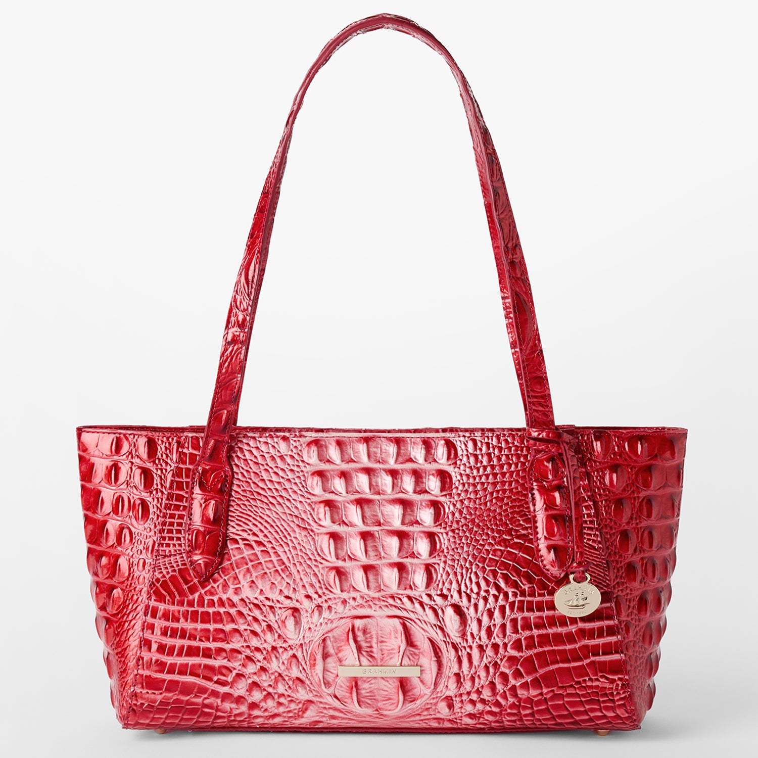 Brahmin anytime tote online