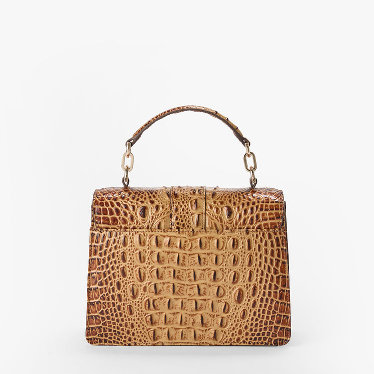 Brahmin brown structured handbag with embossed texture, gold-tone hardware, and a short top handle. The bag features a classic silhouette and is displayed on a plain white background.